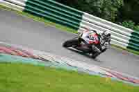 cadwell-no-limits-trackday;cadwell-park;cadwell-park-photographs;cadwell-trackday-photographs;enduro-digital-images;event-digital-images;eventdigitalimages;no-limits-trackdays;peter-wileman-photography;racing-digital-images;trackday-digital-images;trackday-photos